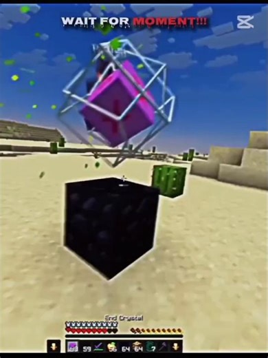 fight mincraft multiplayer