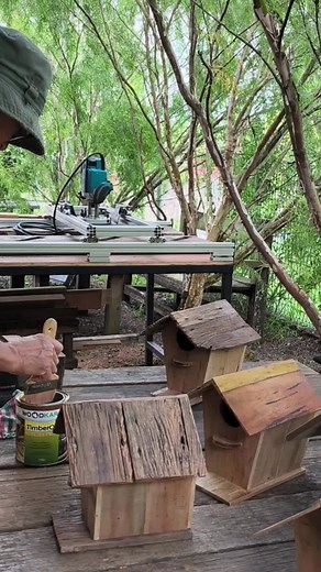 DIY Rustic Bird House Project Ideas