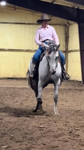 6.9K views · 246 reactions | We aren’t just a colt starting program. | Lucia Lhotak Performance Horses | Facebook