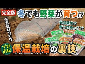【完全版】冬でも野菜が育てられる？保温栽培の基本をプロが徹底解説