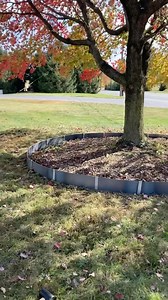 Steel tree ring install in under 20 seconds. 🔨 Corten Steel Sections Stsinless Steel Clips = Easy Yard Upgrade #diytreering #backyarddiy #mybeuta | Beuta