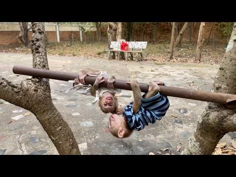 Selena Still Afraid But Ronaldo Playful Without Hesitate