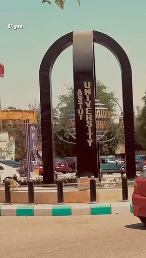 كلية التجارة جامعة أسيوط - Assiut University Faculty of Commerce on Reels