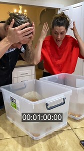 79K views · 2K reactions | Hungry Hippo Challenge!  (funny punishment) | Michael Fallon | Facebook