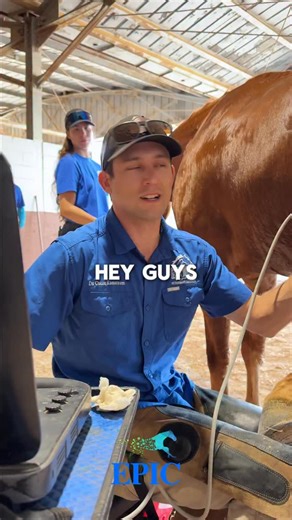 Cold weather changes how horses manage hydration and recovery, especially over a full weekend of competition. Reduced water intake can contribute to muscle fatigue, joint stiffness, and delayed recovery if it goes unnoticed. We are on site throughout the event to evaluate horses, address concerns, and provide medical support as needed. If you need assistance at any point this weekend, call 352 306 5819. | Equine Performance Innovative Center: EPIC