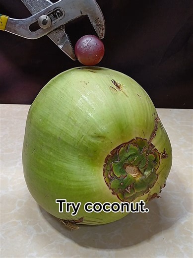 Coconut vs. 100cc Red Hot Ball: A Unique Experiment