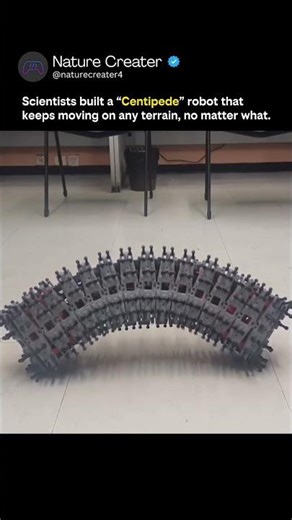 Meet the Xplorer: The Centipede Robot That Can Go Anywhere! 🏗️🧪