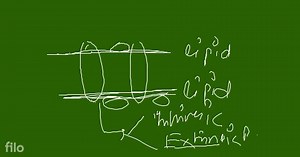 In fluid mosaic model of plasma membrane :... | Filo