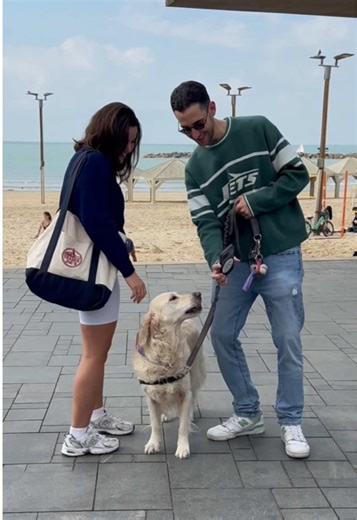 Using Dogs to Pick Up Girls: A Unique Approach