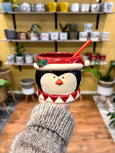 Take Root on Reels | Facebook