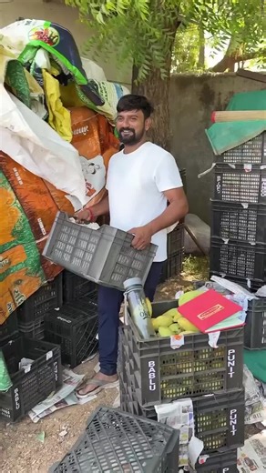 Making Fresh Mango Pulp (Aam Ras)