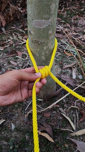 incredible slip knot