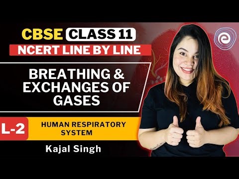 Breathing and Respiration I L2 I Human Respiratory System | Class 12 Biology | Kajal Singh