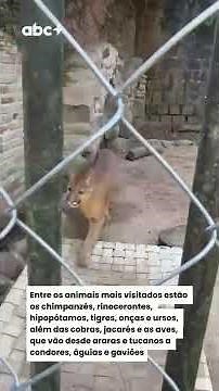 Zoo de Sapucaia do Sul celebra 64 anos com programação especial no feriado