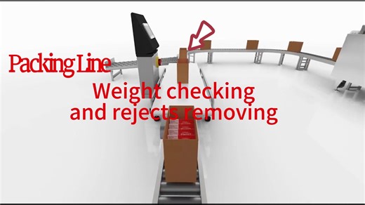 Robot Case Packer Palletzier