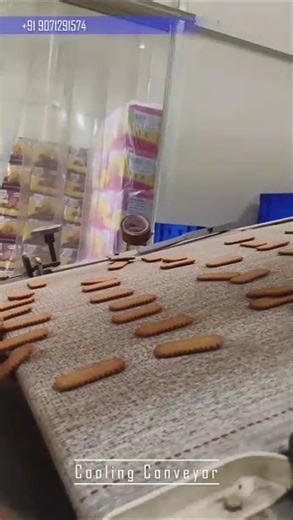 Soft Biscuit Production LIne Assembly