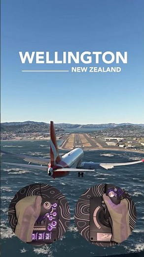 Crosswind Landing at the World’s Windiest Airport - MSFS 2020 #wellington