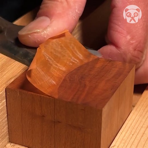 Cutting a piece of wood thinner than paper Partner: akhira_1985 TT: https://www.tiktok.com/@akhira_1985 | Crafty Panda