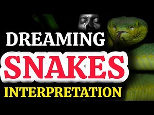Black Snake In Dream Meaning | Dreams And Their Meanings | Dream Interpretation