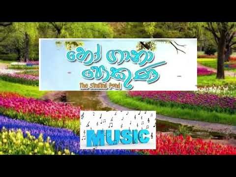 Ho Gana Pokuna Song