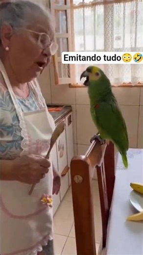 Papagaio imitando tudo só pra provocar😂🦜