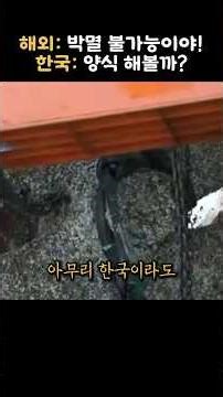 전 세계가 바다의 암덩어리라며 혐오하는 생물을 한국이 양산한 충격적인 이유
