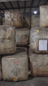 How it started and where it’s going – meet our Local Grown Yarn, on #sale now. | Lion Brand Yarn