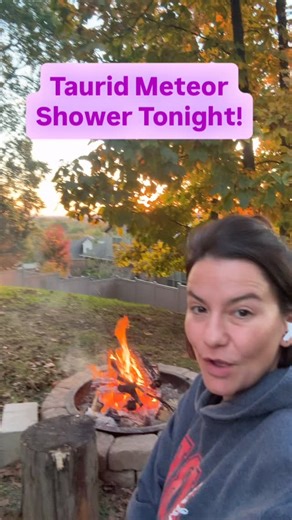 Share with your friends- I hope you see a shooting star tonight! | Bree Smith