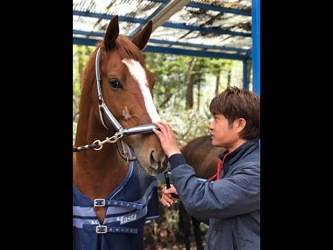 #613 グッ！と地球便「馬医者・上手健太郎」