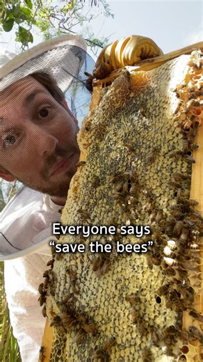 Save the flies I guess...