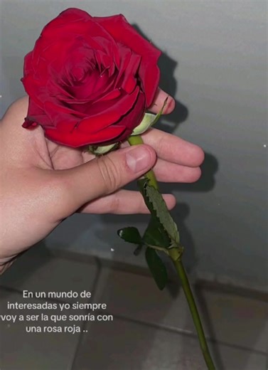 #apoyo #hermanos #regal