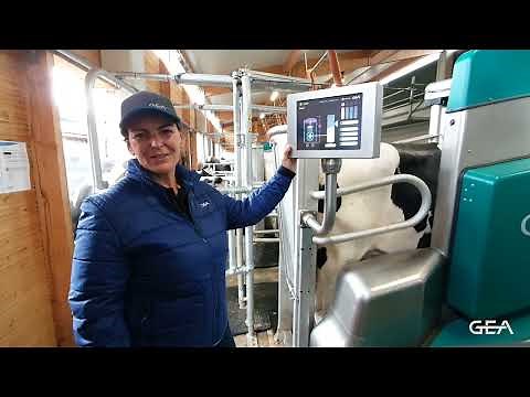 GEA Dairy Farming – Automatisch melken zu festen Melkzeiten mit dem GEA DairyRobot R9500