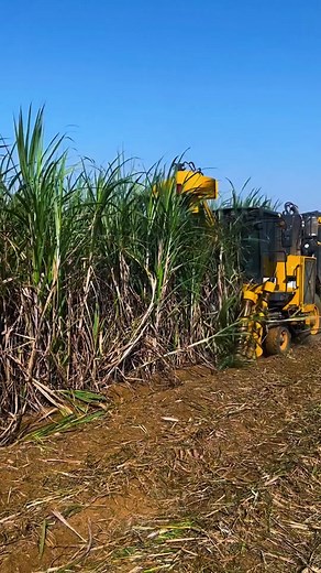 timsjordan on TikTok