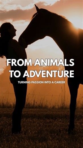Finding Your Path in Veterinary Medicine | Equine Work & Love for Animals