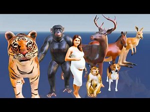 Pregnancy Period of Animals 😍