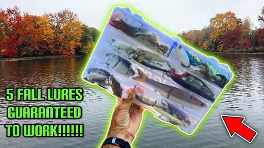Five Bass Lures Experts Swear By for Fall Success