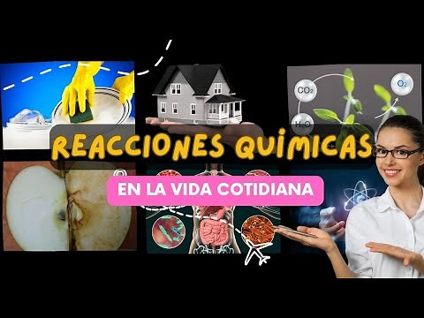🌱🌞 Chemical reactions in everyday life🍳🥞