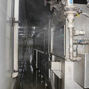 [Hot Item] 500bph-13000bph Customized Bird Equipment Bird Plucking Machine Poultry Carcass Cutting Machine