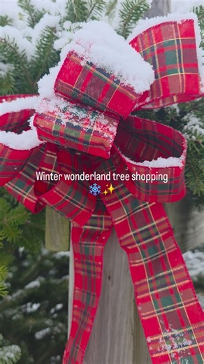 Open today and fully in Christmas mode! 🎄❄️ The farm fire’s crackling, hayride is rolling, and hot chocolate is definitely flowing. Come wander the farm before the crazy-busy weekend hits! And don’t forget — the reindeer arrive this weekend! 🦌✨ #ChristmasTreeFarm #reindeer #winterwonderland❄️ #familyowned | Trees For Less