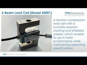 S-Beam Load Cell (Model 60001).