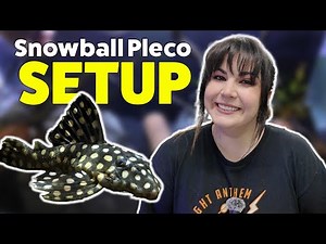 How to Build the Ideal Tank for L201 Plecos | Step-by-Step Aquarium Guide