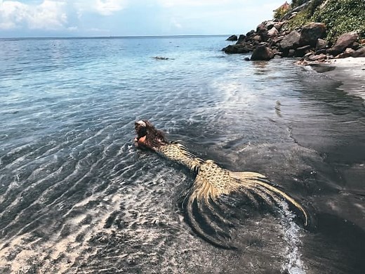 Must Watch: 4 Documentaries about Mermaids
