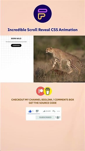 Incredible Scroll Reveal CSS Animation
