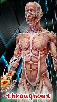 Pizza Pros and Cons | Is It Really Unhealthy?