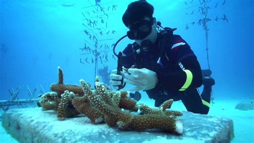 How These Veterans Are Working to Help Marine Conservation