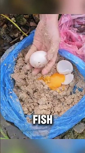 Ancient Fish Trap Technique