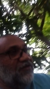 5.5K views · 60 reactions | ANOU PLANTER 59EME PROGRAM LOR EMTRETIEN BANN PLANTES GREFFE. Partie 5 | Fardeen Ibrahim | Facebook