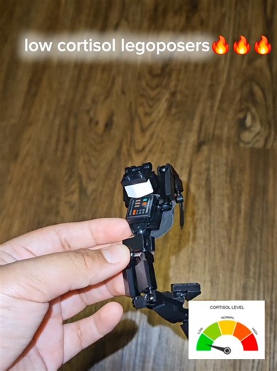 Mastering LegoPose Editing: Part 2