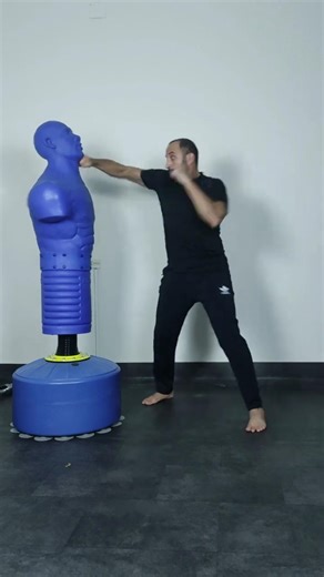 Karate Combo !! 🥋