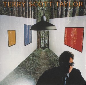 Terry Scott Taylor - A Briefing For The Ascent
